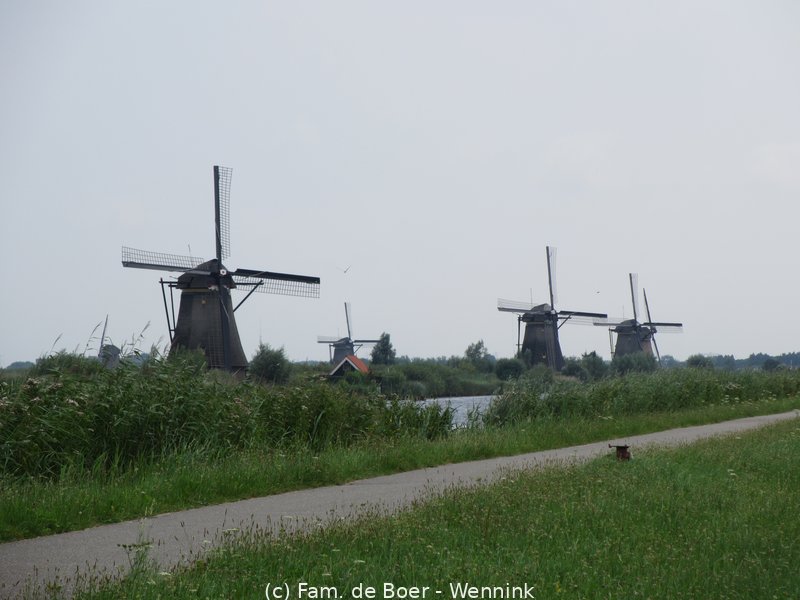 140729_141938-IMG_6010.JPG