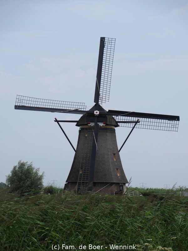 140729_142357-IMG_6013.JPG