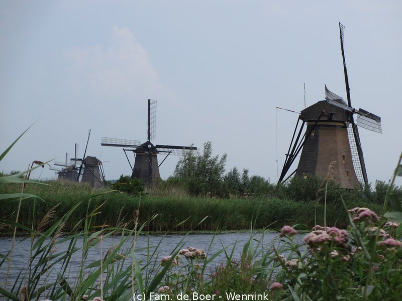 140729_143232-IMG_6017.JPG