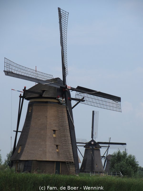 140729_143428-IMG_6018.JPG