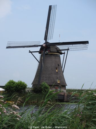 140729_143210-IMG_6016.JPG