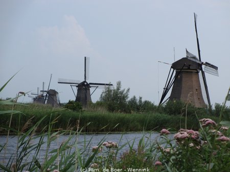 140729_143232-IMG_6017.JPG