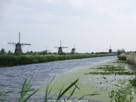 140729_153617-IMG_6042.JPG