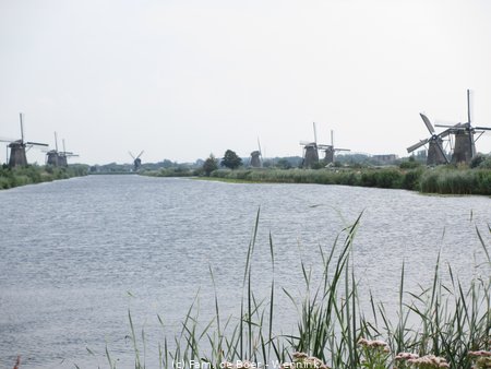 140729_154502-IMG_6045.JPG