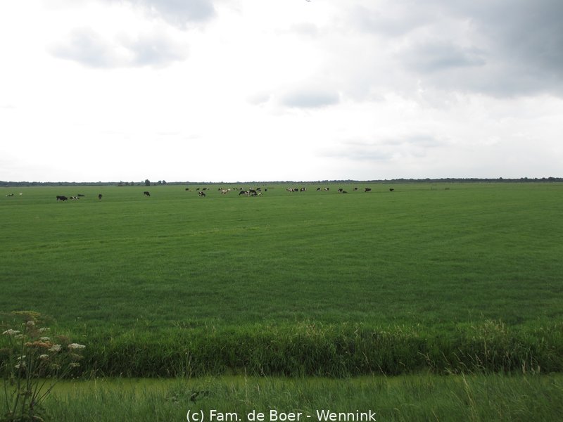 140730_124915-IMG_6067.JPG