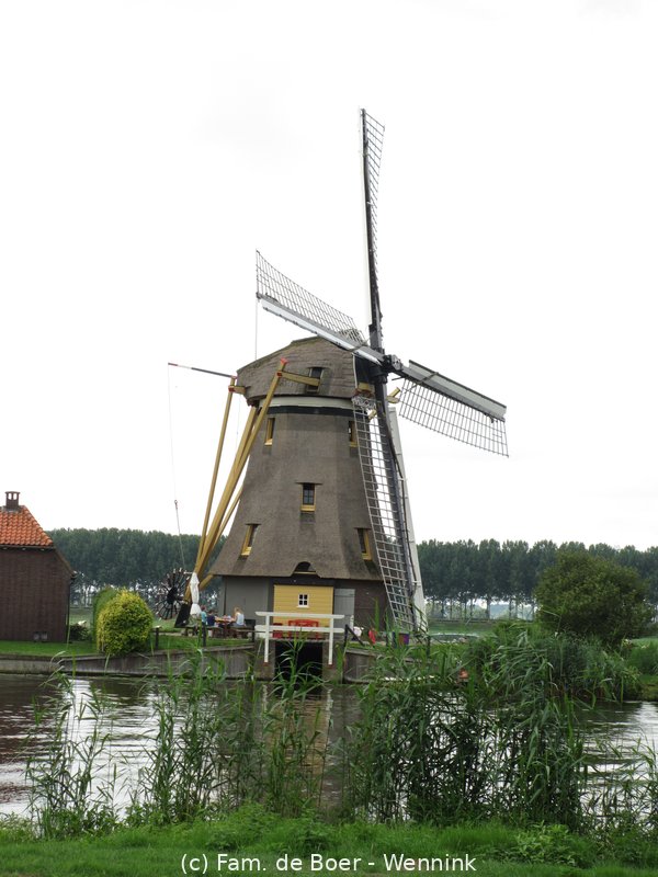140730_133040-IMG_6082.JPG