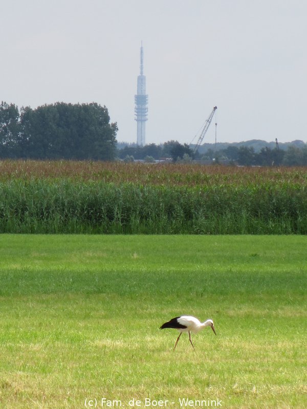 140730_140234-IMG_6086.JPG