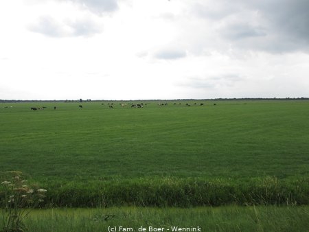 140730_124915-IMG_6067.JPG