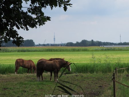 140730_140141-IMG_6084.JPG