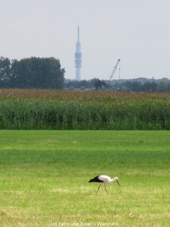 140730_140234-IMG_6086.JPG
