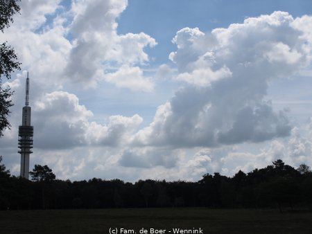 140730_145939-IMG_6100.JPG