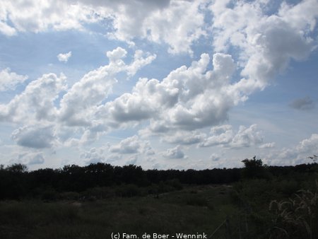 140730_151118-IMG_6102.JPG