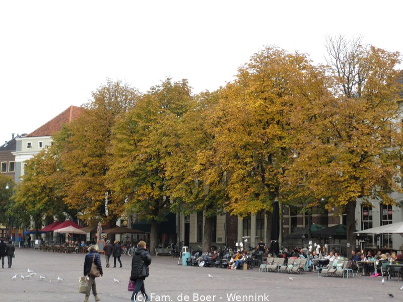 151023_162931-IMG_0241.JPG