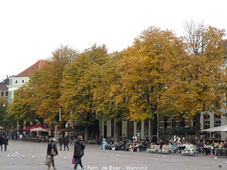 151023_162931-IMG_0241.JPG