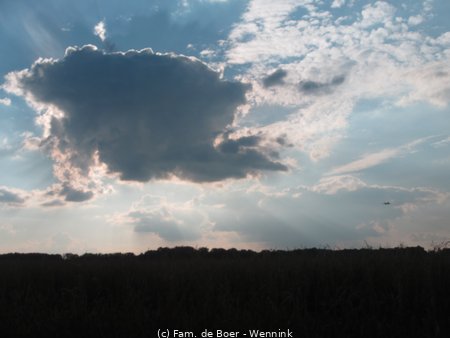 150910_171411-IMG_9920.JPG
