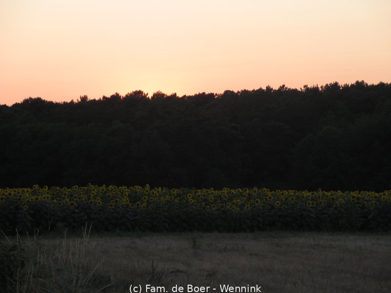 150713_204425-IMG_8672.JPG