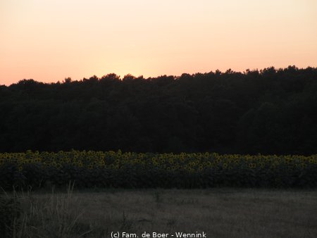 150713_204425-IMG_8672.JPG