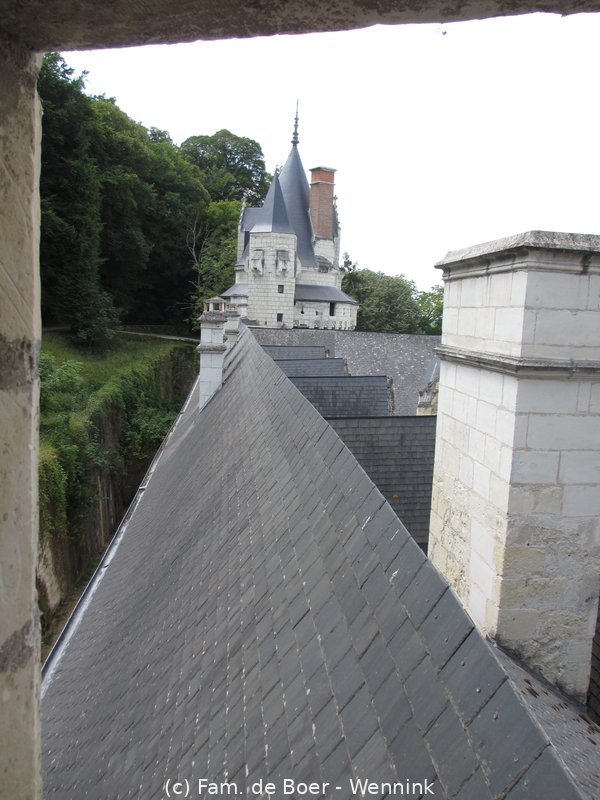 150718_133457-IMG_8942.JPG