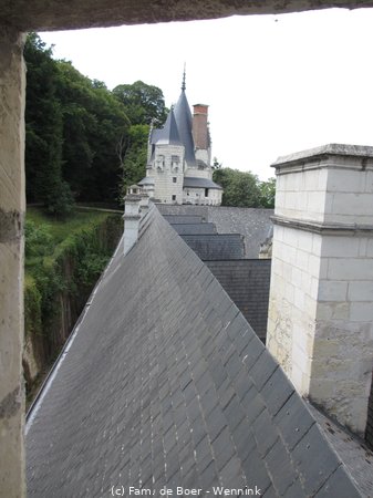 150718_133457-IMG_8942.JPG