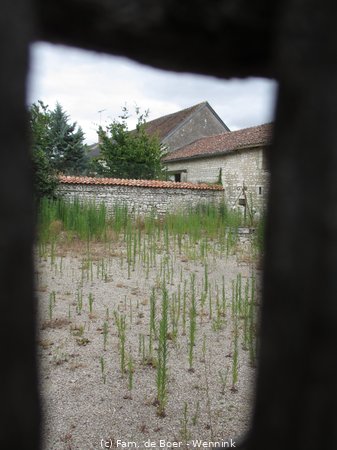 150719_134246-IMG_8994.JPG