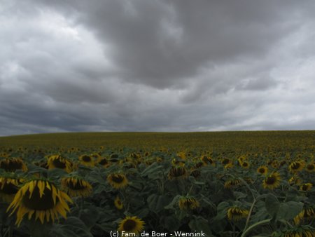 150719_151848-IMG_9017.JPG