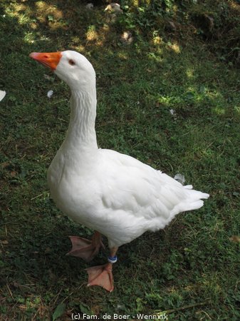 150721_121944-IMG_9126.JPG