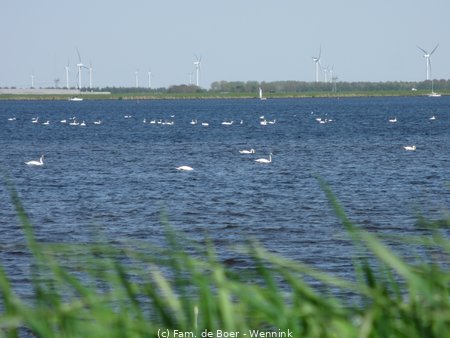160508_140922-IMG_1177.JPG