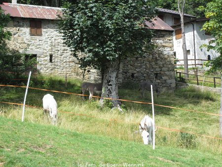 170803_104724-IMG_5689.JPG