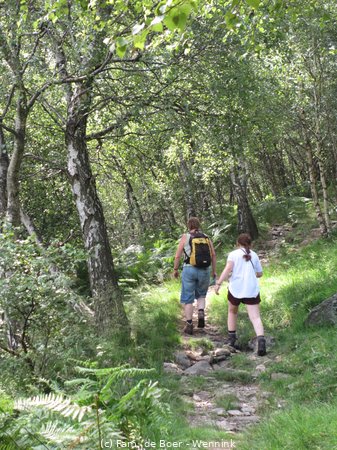 170803_105903-IMG_5693.JPG