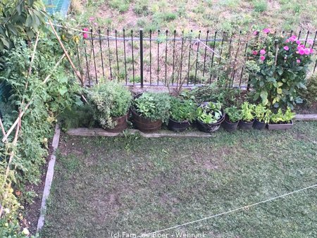 170807_195041-z_20170807_195041_IMG_1422.JPG