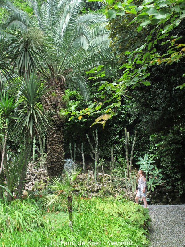170810_122611-IMG_6249.JPG