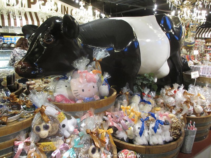 180622_045638-IMG_8008.JPG