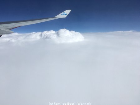 180623_154706-IMG_4255.JPG