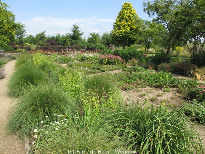 180720_105629-IMG_8357.JPG