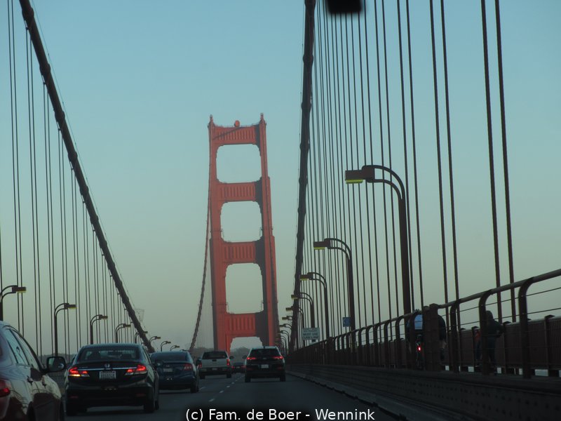 180622_042134-IMG_7985.JPG