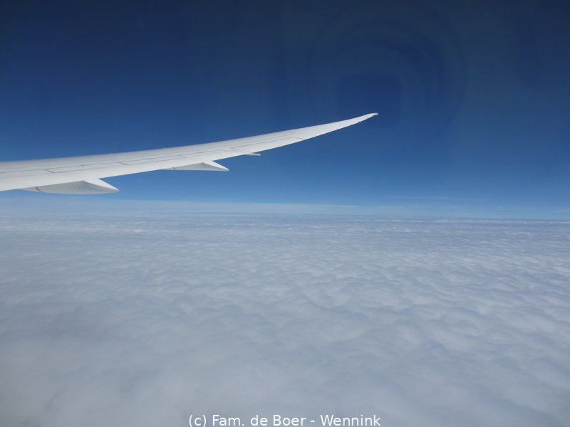 180826_120729-IMG_9501.JPG