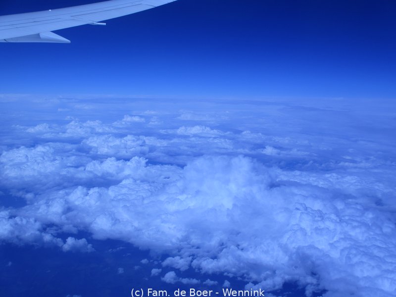 180826_194534-IMG_9516.JPG