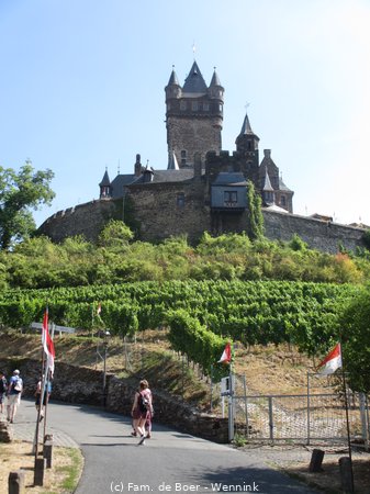 180805_101649-IMG_8536.JPG