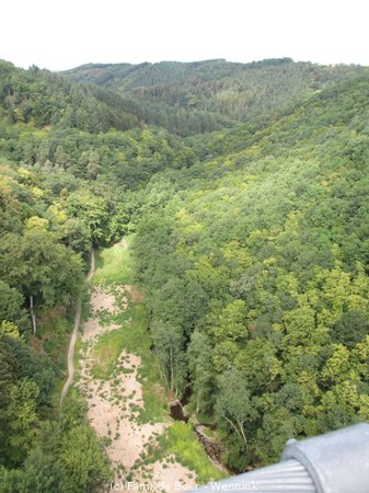 180810_114933-IMG_8851.JPG