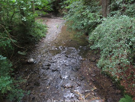 180814_135319-IMG_9195.JPG
