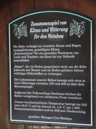 180817_125146-IMG_9341.JPG