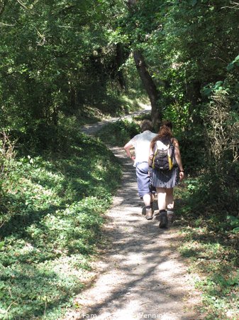 180819_110932-IMG_9416.JPG