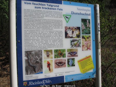180819_111311-IMG_9417.JPG
