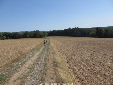 180819_131931-IMG_9438.JPG