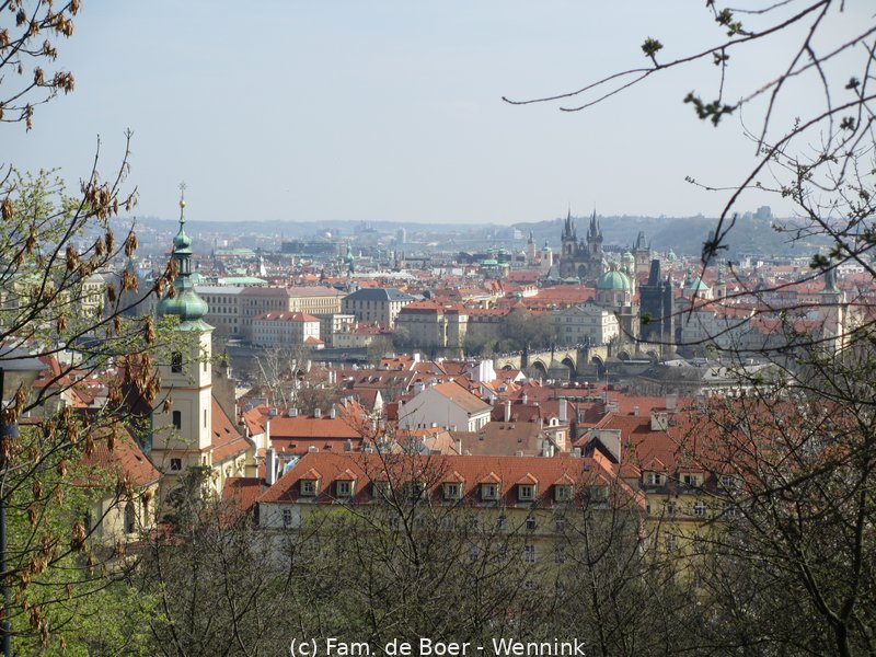 190405_113104-IMG_0621.JPG