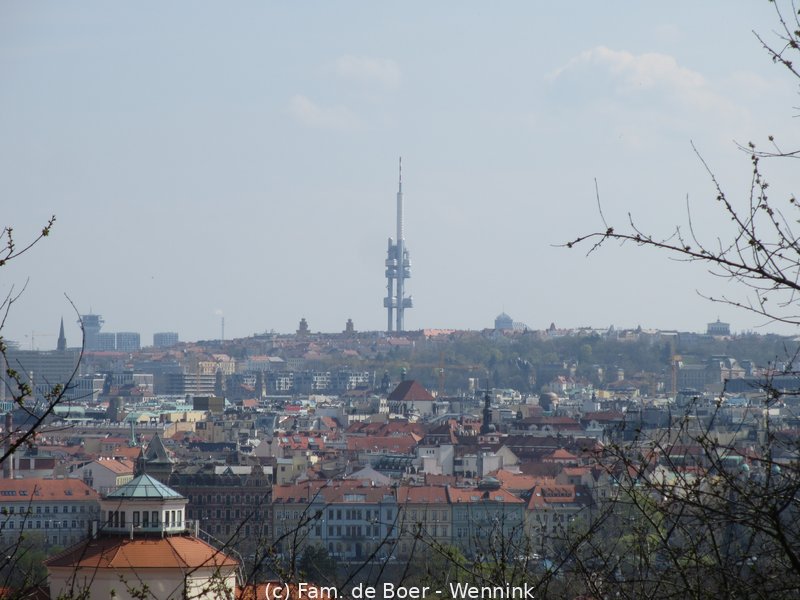 190405_113209-IMG_0622.JPG