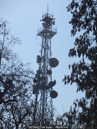 190405_100120-IMG_0578.JPG