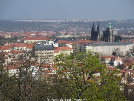 190405_104231-IMG_0588.JPG