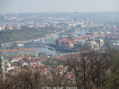 190405_104509-IMG_0592.JPG