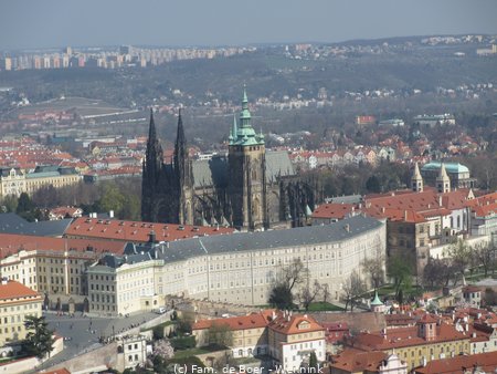 190405_105235-IMG_0596.JPG